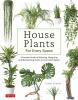House_plants_for_every_space