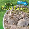 Inside_rabbit_burrows