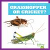 Grasshopper_or_cricket_