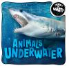 Animals_underwater