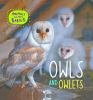 Owls_and_owlets