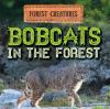 Bobcats_in_the_forest