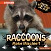 Raccoons_make_mischief_