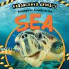 Endangered_animals_in_the_sea