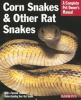 Corn_snakes_and_other_rat_snakes