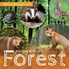 Animals_of_the_forest