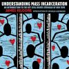 Understanding_mass_incarceration