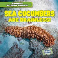 Sea_Cucumbers_Are_Brainless_