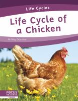 Life_Cycle_of_a_Chicken