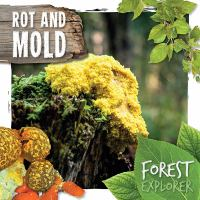 Rot_and_mold