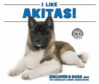 I_Like_Akitas_