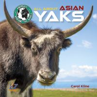 All_About_Asian_Yaks