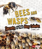 Bees_and_wasps