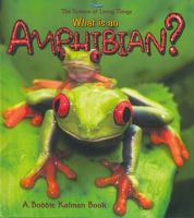 What_is_an_Amphibian_