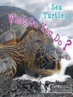 Sea_Turtles__What_Do_You_Do_