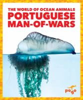 Portuguese_man-of-wars