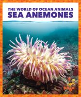 Sea_anemones