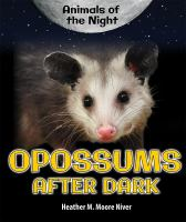 Opossums_after_dark