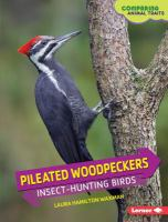 Pileated_Woodpeckers