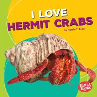 I_Love_Hermit_Crabs