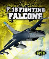 F-16_Fighting_Falcons