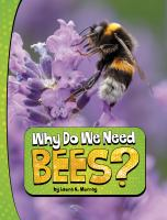 Why_do_we_need_bees_