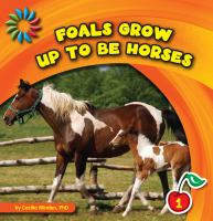 Foals_Grow_up_to_Be_Horses