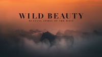 Wild_Beauty__Mustang_Spirit_of_the_West