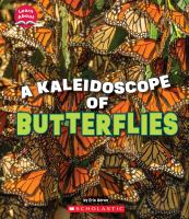 A_kaleidoscope_of_butterflies