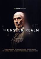 The_unseen_realm
