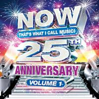 Now_that_s_what_I_call_music___25th_Anniversary