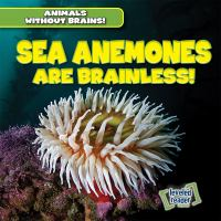 Sea_Anemones_Are_Brainless_