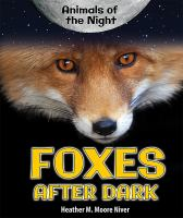 Foxes_after_dark