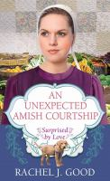 An_unexpected_Amish_courtship