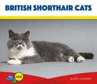 British_Shorthair_Cats