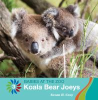 Koala_Bear_Joeys