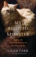 My_Beloved_Monster__Masha__the_Half-Wild_Rescue_Cat_Who_Rescued_Me