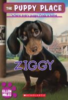 Ziggy__The_Puppy_Place__21_