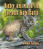 Baby_animals_in_forest_habitats