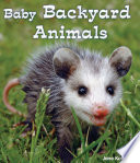 Baby_Backyard_Animals