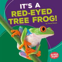 It_s_a_Red-Eyed_Tree_Frog_