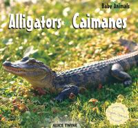 Alligators___Caimanes
