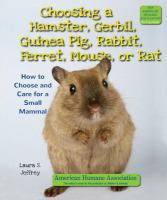 Choosing_a_hamster__gerbil__guinea_pig__rabbit__ferret__mouse__or_rat