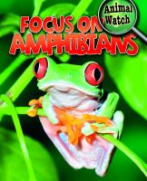 Focus_on_amphibians