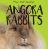 Angora_rabbits