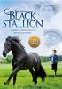 The_adventures_of_the_black_stallion