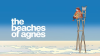 The_Beaches_of_Agnes