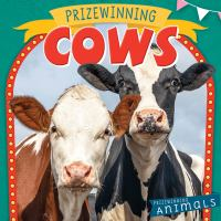 Prizewinning_cows