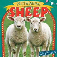 Prizewinning_sheep