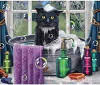 Cat_in_the_bath
